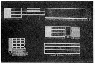 25──シェパーによる「デッサウ・バウハウスの立面図」（1926）