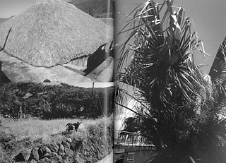 2──沖縄（1978） 引用出典＝『原点復帰──横浜』（オシリス、2003）