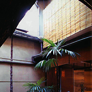 庭が作り出す隣家との隙間によって1階部分から空が望める 出典＝吉岡幸雄『京都町屋色と光と風のデザイン』 （講談社、1999）