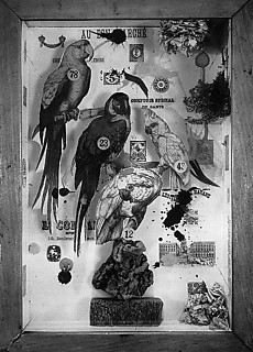 45. J・コーネル 「射撃場のための生息地群」（1943） コラージュの箱庭。自然を閉じ込める。
