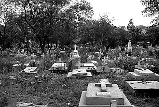 80. オールド・デリーの キリスト教墓地（インド） 突如、異世界に迷い込んだかのよう。