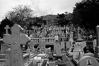 83. 九龍島の墓地（香港） 必ず墓石に写真が嵌め込まれている。