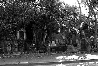 81. ワット・サケットの墓地（タイ・バンコク） 丘の上の寺院にのぼる途中にある。