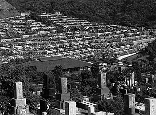 99. マンション墓地（鎌倉霊園） 公園墓地は大正12年の多摩墓地の一部完成以来、大都市近郊に多くつくられたが、とりわけこれは、丘陵の斜面を段丘状に造成された墓地から成る、地形のランドスケープをみせる工夫がされた例である。