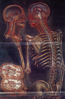 30─ジャック・ゴーティエ・ダゴティ 《自分の髑髏をみつめる骨格人間（部分）》 『人体構造解剖図集』（1759） 引用出典＝荒俣宏『解剖の美学』 リブロポート、1991 正中線で真っ二つに断ち切られた人体