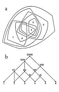 3──セミラティス構造（左）とツリー構造