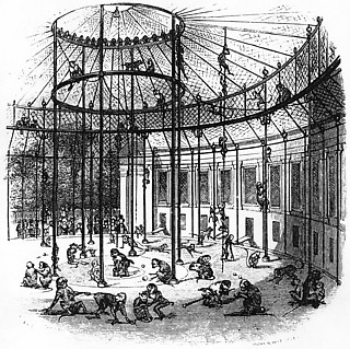 6──1837年に完成した新しいサル園の内部
