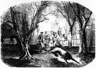 1──1850年3月20日夜、植物園での狼狩の情景 『イリュストラシオン』